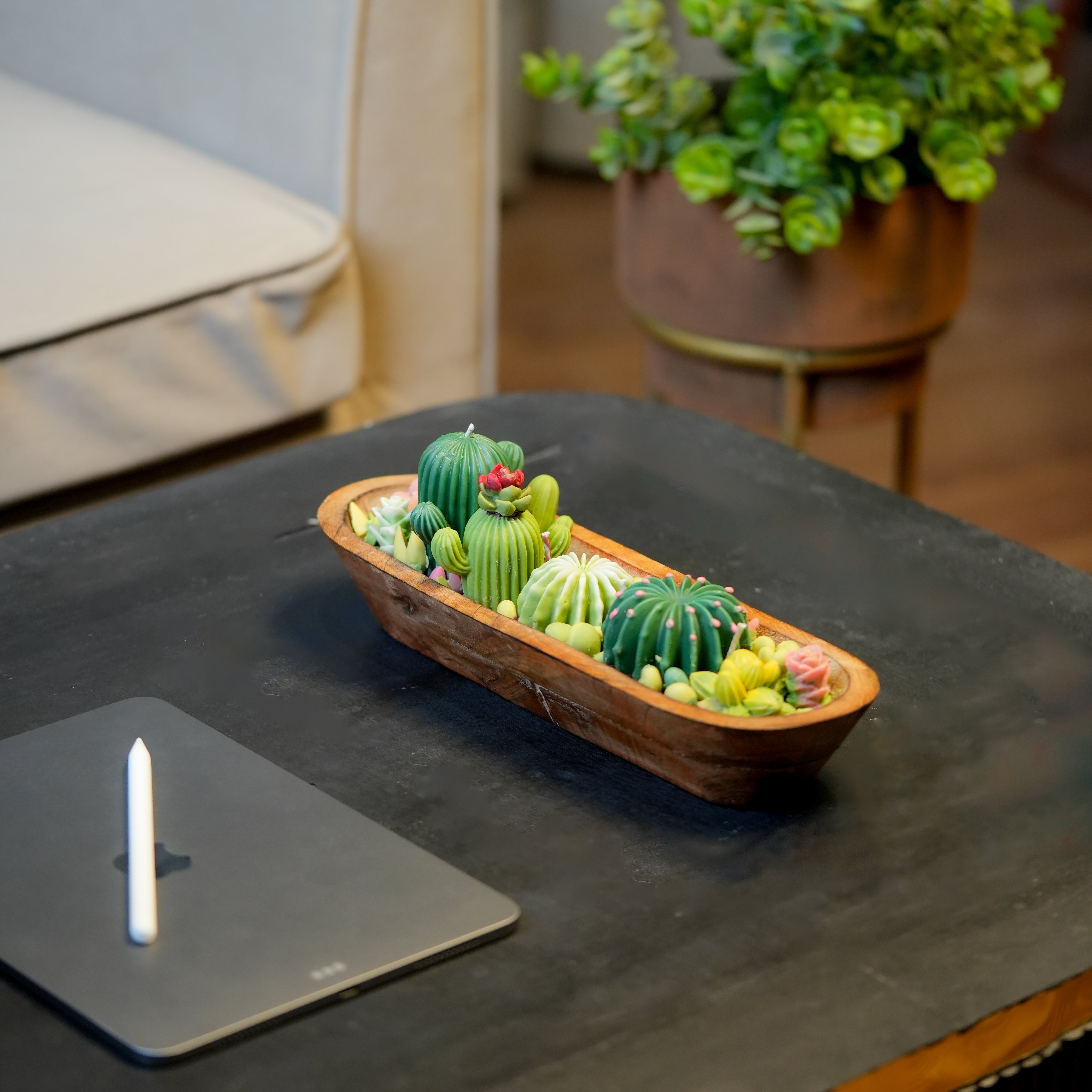 succulent candle zen garden Cactus & Succulent Garden Candle