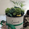 Bouquet in a Jar