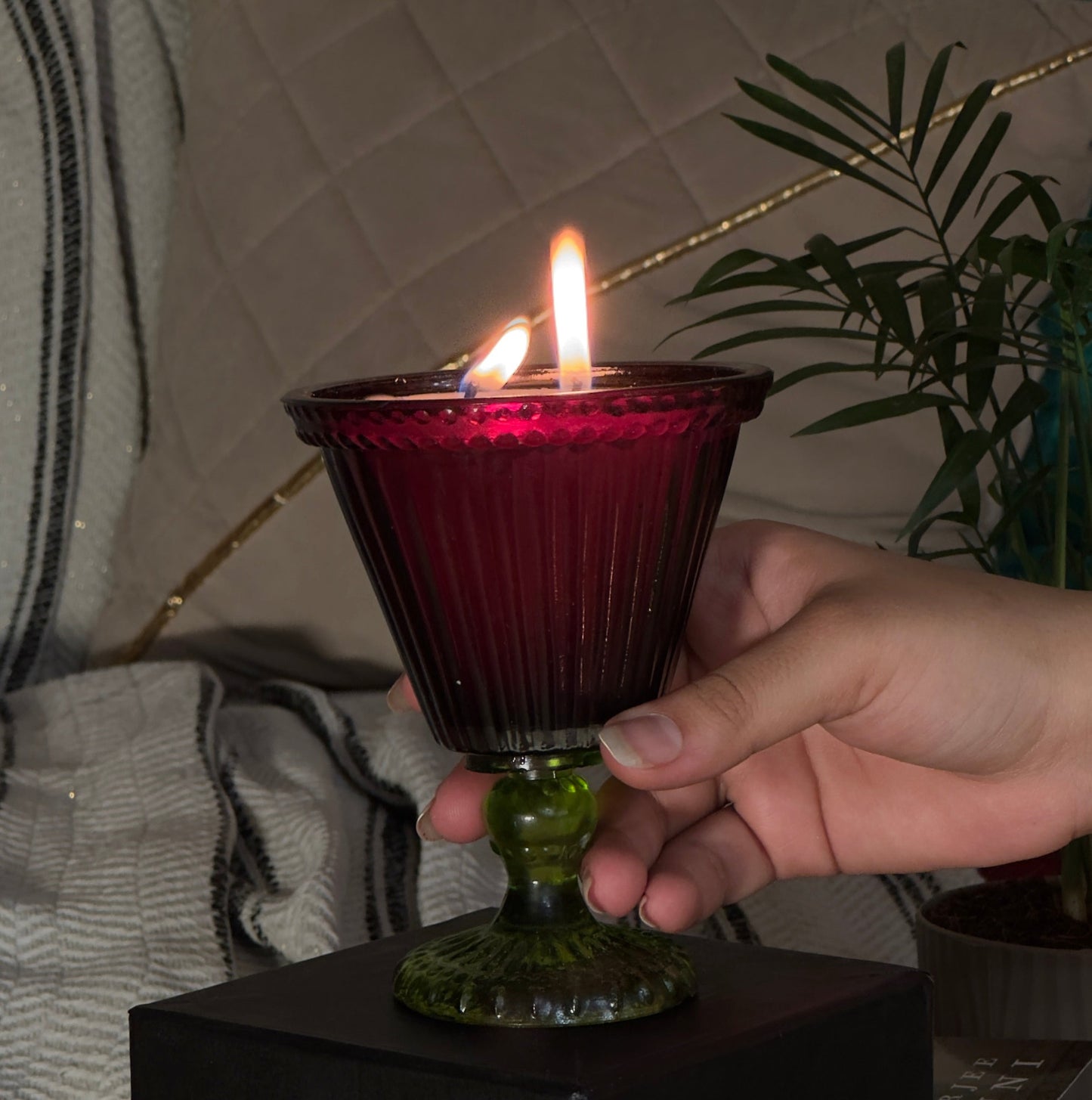 Velvet Noir - Pastel Goblet | cherry