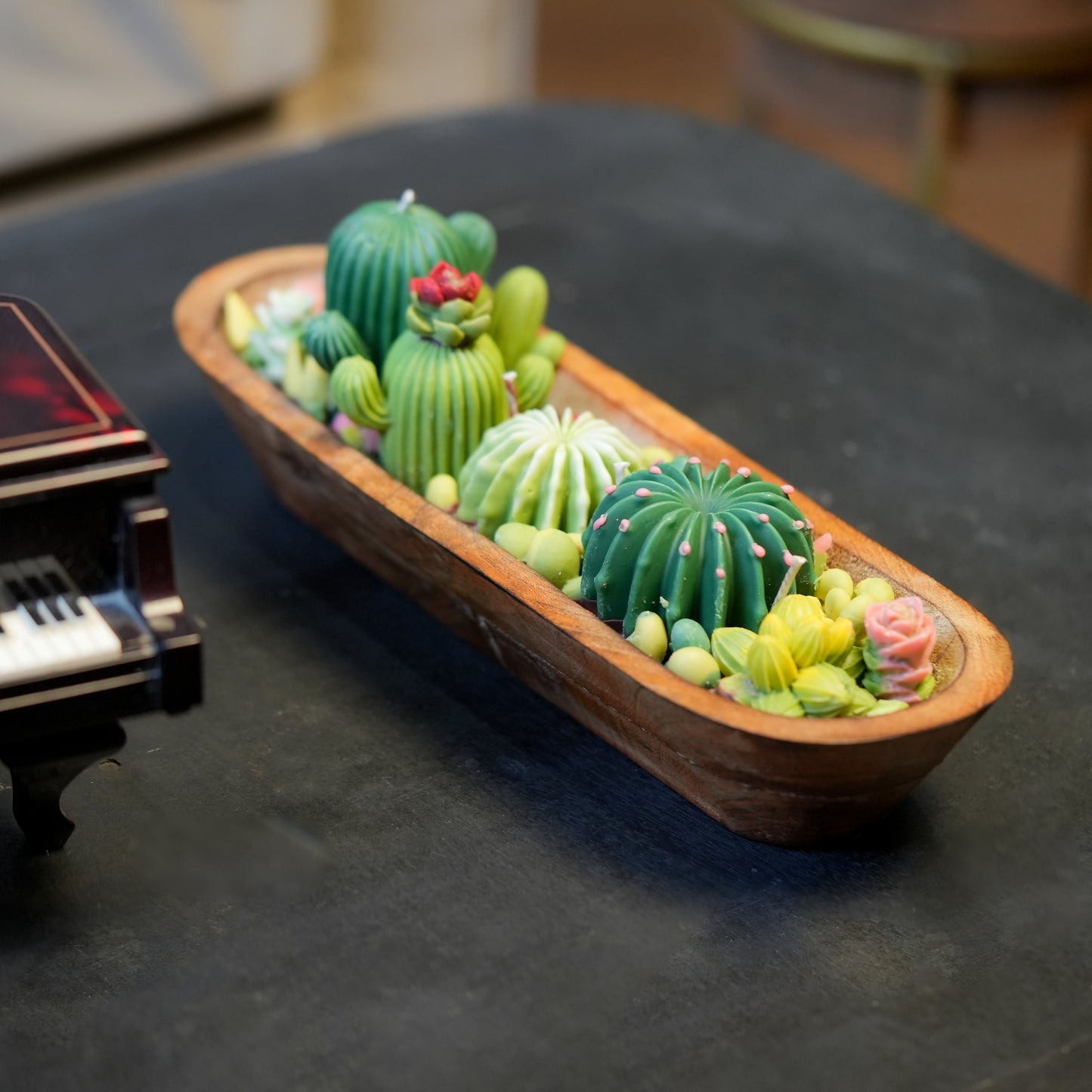 Cactus & Succulent Bowl