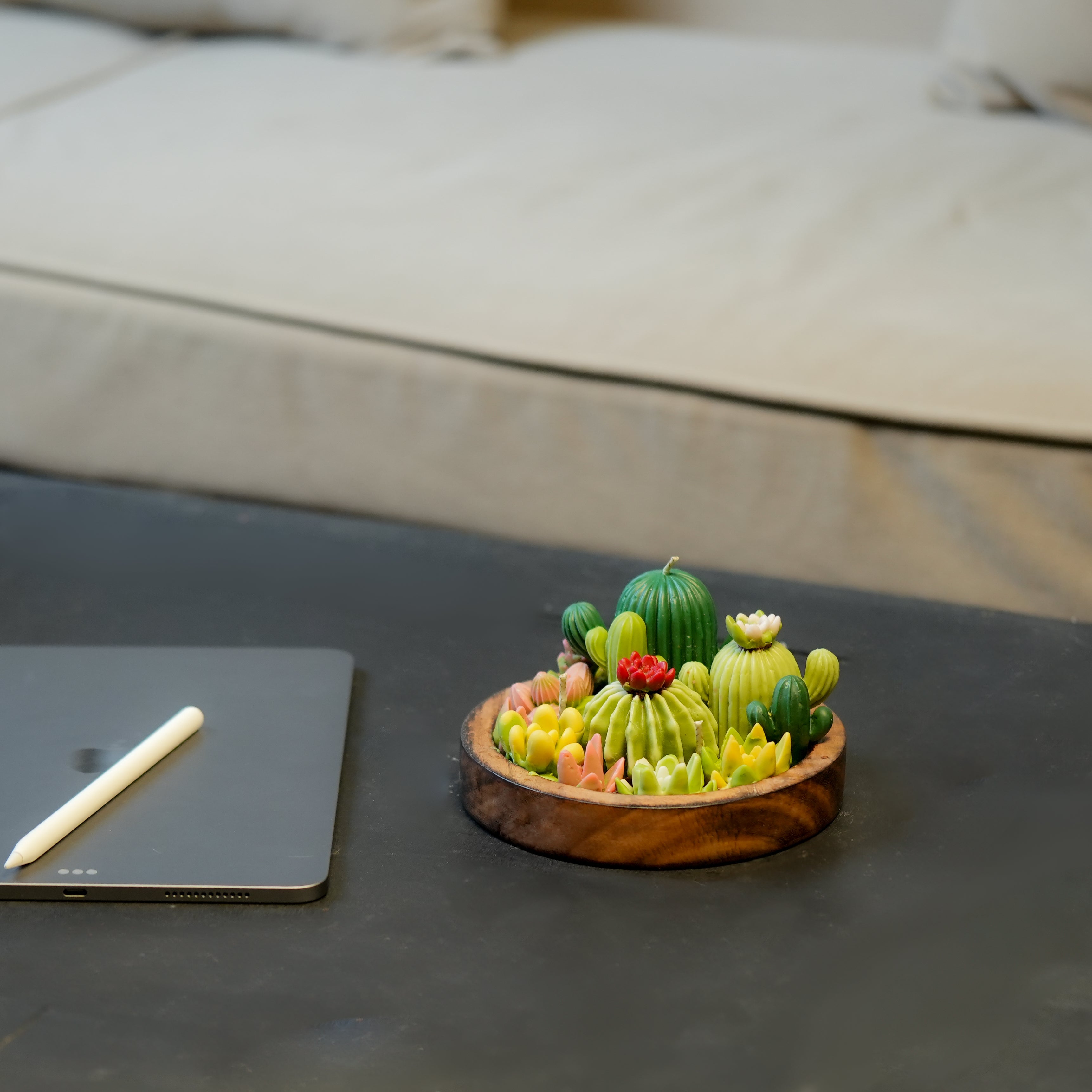 succulent candle zen garden Cactus Garden Candle Bowl-Botanical Soy Wax Candle – Amour by Anjali