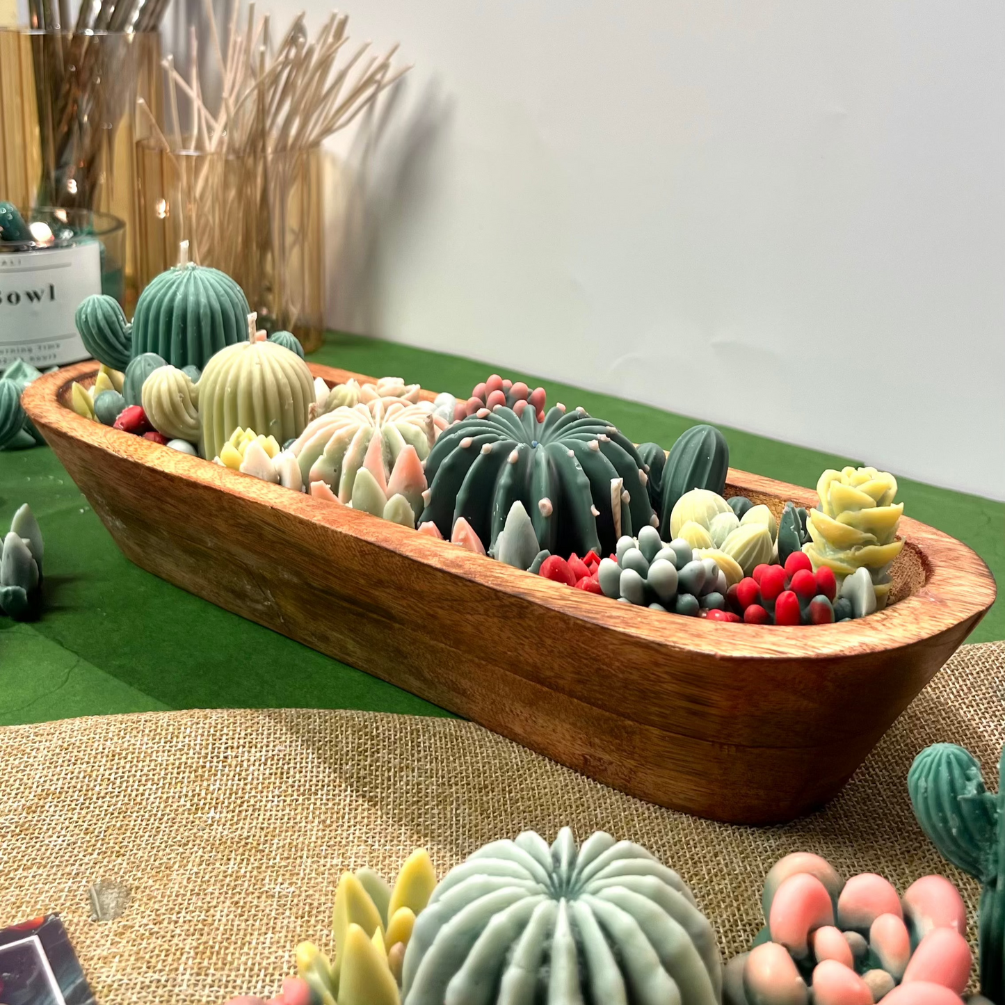 Cactus & Succulent Bowl