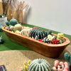 Cactus & Succulent Bowl