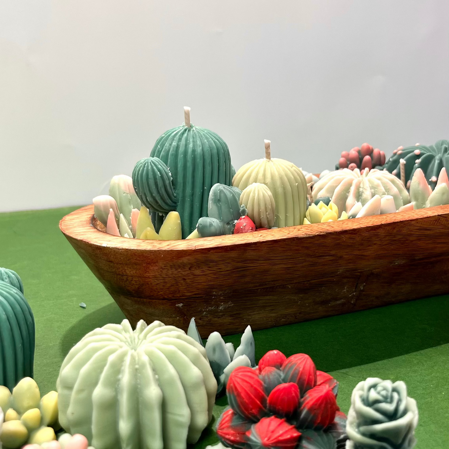 Cactus & Succulent Bowl