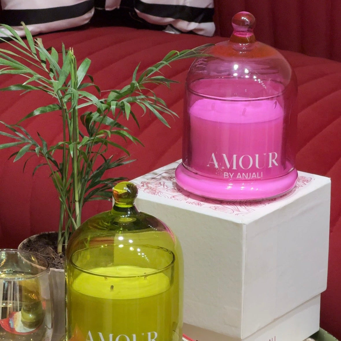 The Signature Bell Jar – Rosé