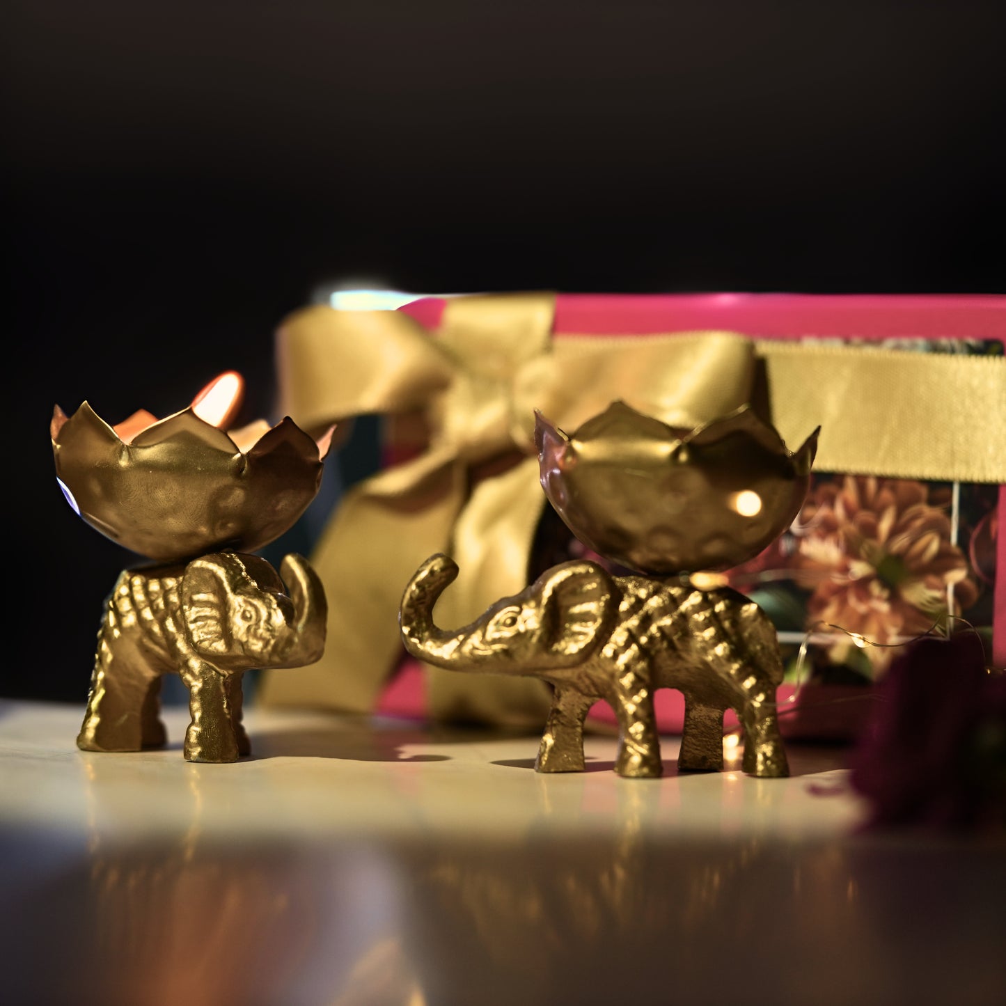 Gajraj | The Elephant Pair